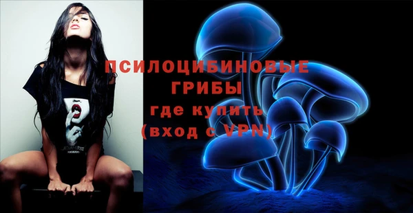 прущие крисы Краснослободск