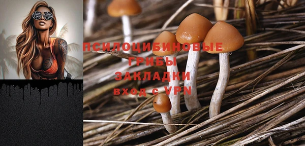 прущие крисы Краснослободск