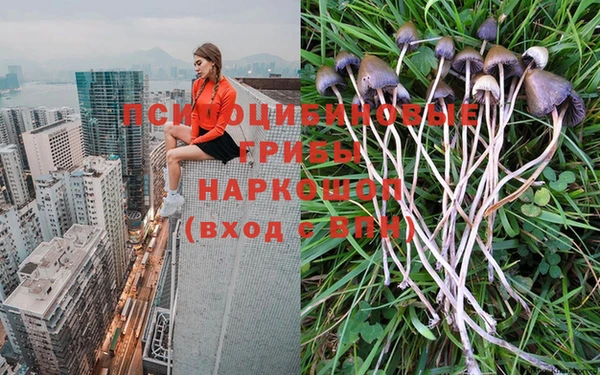 PSILOCYBIN Краснотурьинск