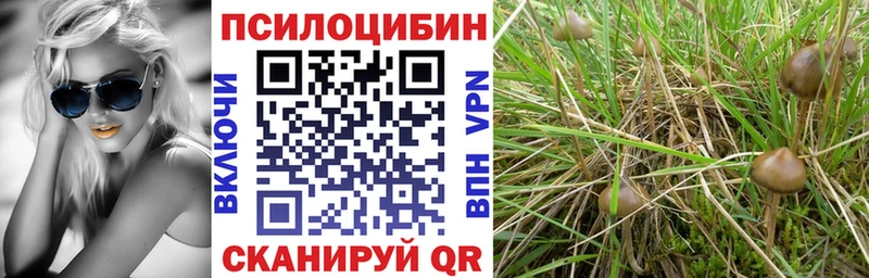 Галлюциногенные грибы Psilocybe  Купить  Лесосибирск 